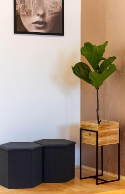 Gozsdu White Raven 3 - Terrace And Free Underground Parking Apartment Budapest Bagian luar foto
